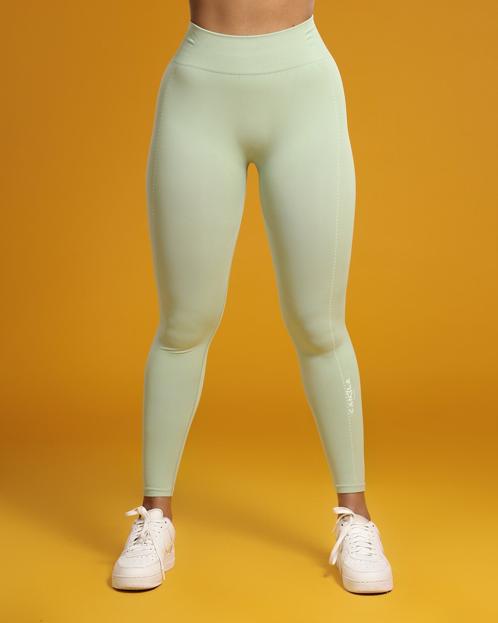 OBSESSION LIGHTWEIGHT SEAMLESS TIGHTS - SEAFOAM GREEN - CanelaFitness