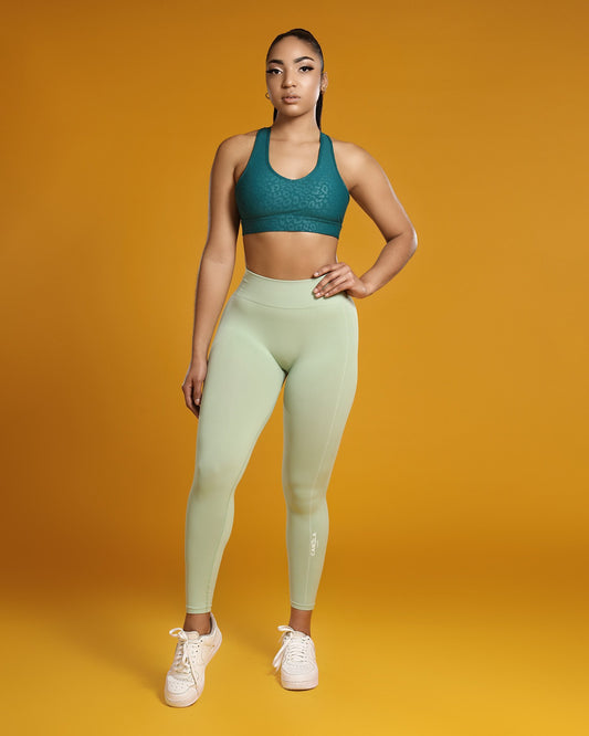 OBSESSION LIGHTWEIGHT SEAMLESS TIGHTS - SEAFOAM GREEN - CanelaFitness